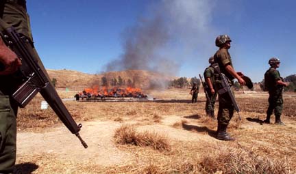 Mexican soldiers